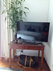 Riverside 48 (D9), Apartment #518430581